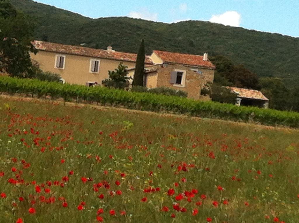 Bed and Breakfast La Rivayne à Lourmarin Chambre photo